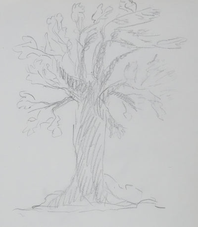 Luce FEYRER : Le grand arbre gris, Autographe et dessin original signé