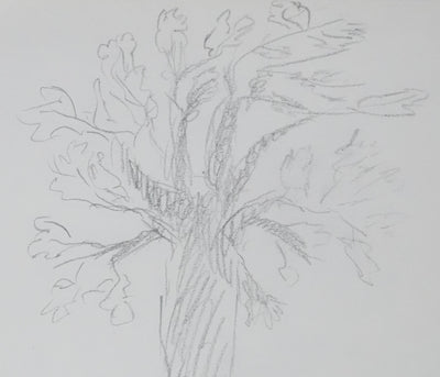 Luce FEYRER : Le grand arbre gris, Autographe et dessin original signé