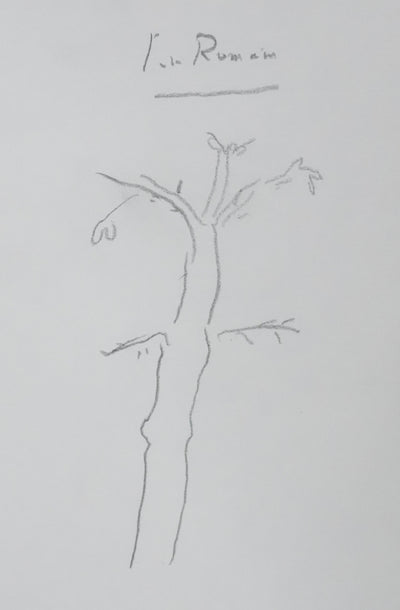 Jules ROMAINS : La grande branche, Autographe et dessin original signé