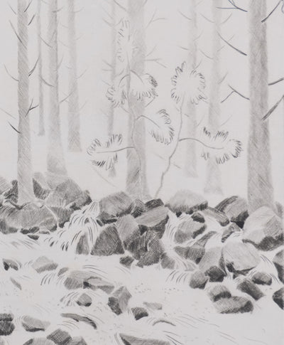 Camille COMBE : La jubilation des eaux, Gravure originale signée