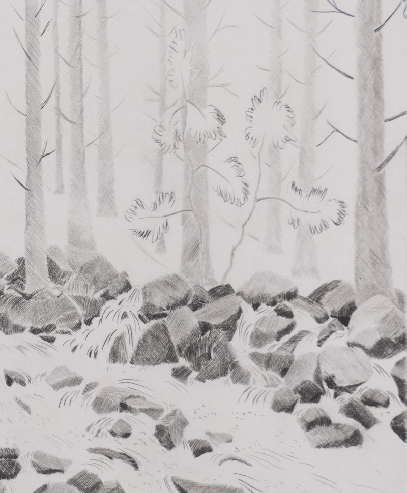 Camille COMBE : La jubilation des eaux, Gravure originale signée