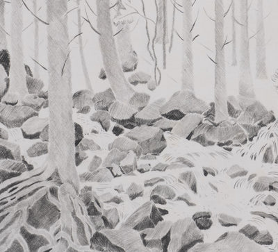 Camille COMBE : La jubilation des eaux, Gravure originale signée