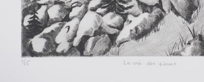 Camille COMBE : La vie des pierres, Gravure originale signée