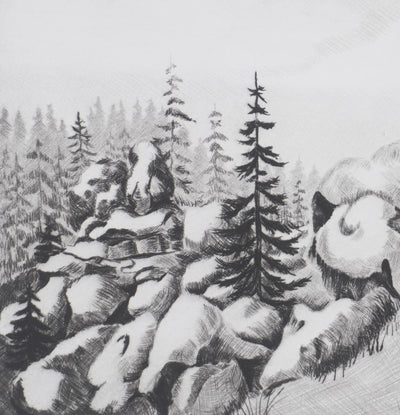 Camille COMBE : La vie des pierres, Gravure originale signée