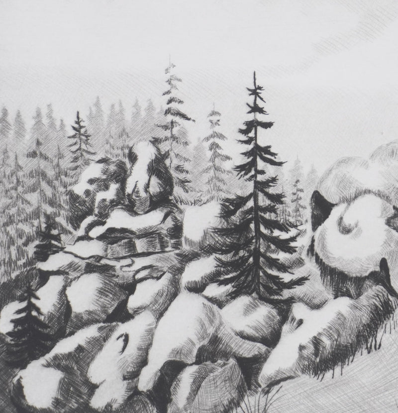 Camille COMBE : La vie des pierres, Gravure originale signée