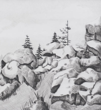 Camille COMBE : La vie des pierres, Gravure originale signée