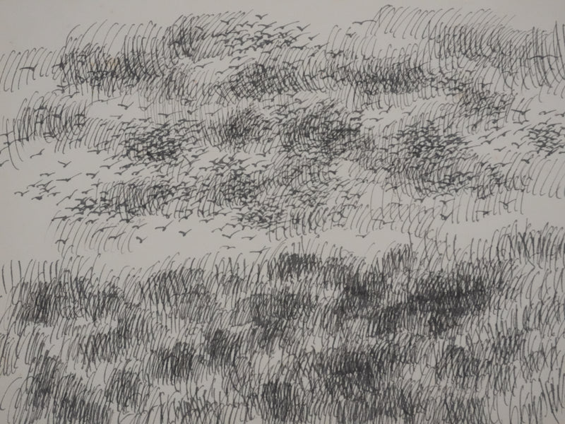 Victorien GALIERE : Les hautes herbes, Dessin original