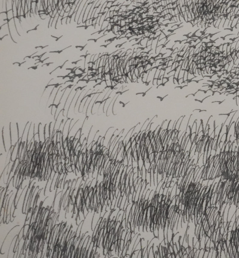 Victorien GALIERE : Les hautes herbes, Dessin original