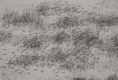 Victorien GALIERE : Les hautes herbes, Dessin original