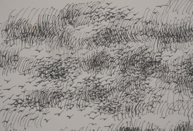 Victorien GALIERE : Les hautes herbes, Dessin original