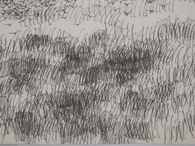 Victorien GALIERE : Les hautes herbes, Dessin original