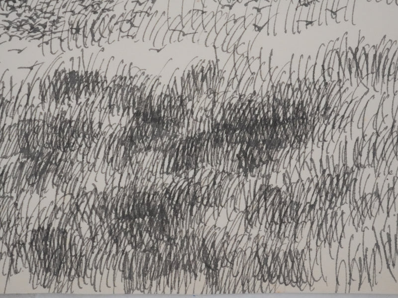 Victorien GALIERE : Les hautes herbes, Dessin original