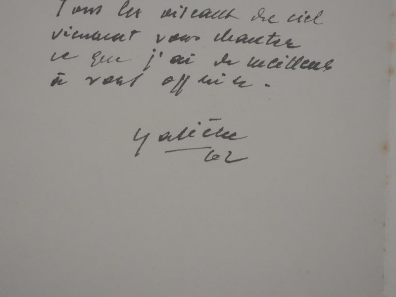 Victorien GALIERE : Les hautes herbes, Dessin original