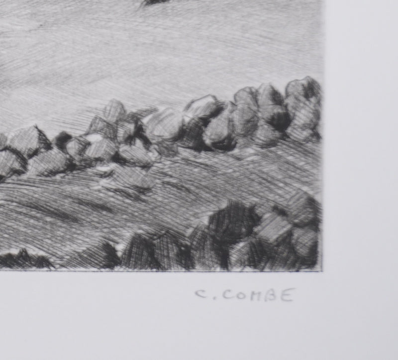 Camille COMBE : Sur le chemin d&