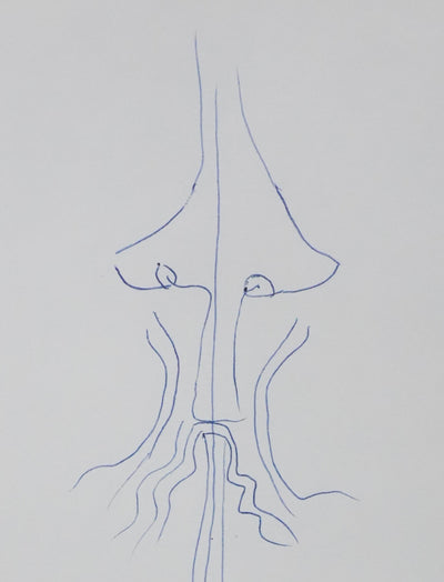 Tototte NOURISSIER : Silhouette d'arbre, Autographe et dessin original signé