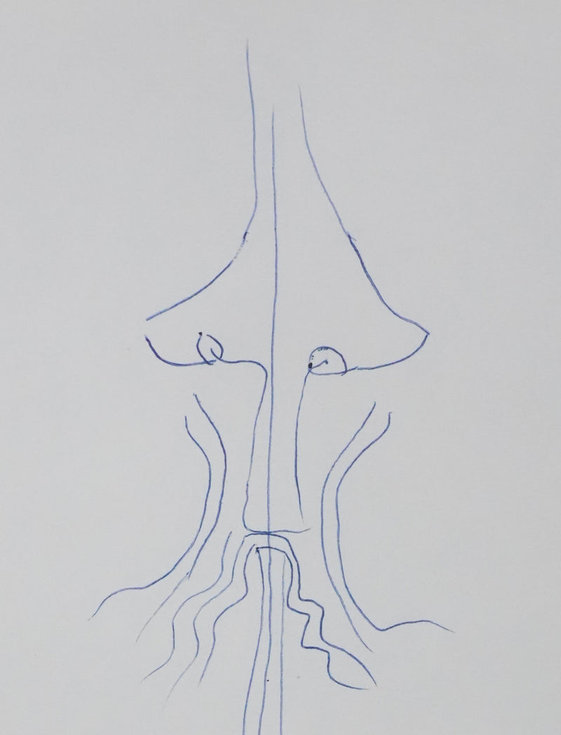 Tototte NOURISSIER : Silhouette d&