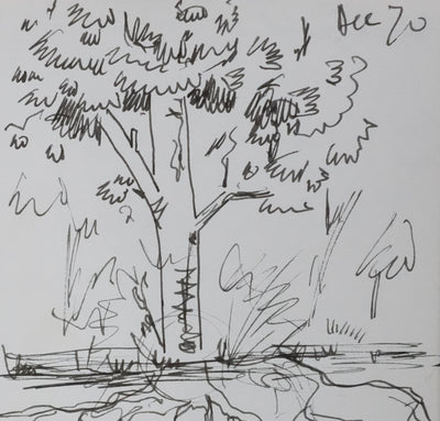 Bernard GINESTET : Les racines de l'eau, Autographe et dessin original signé