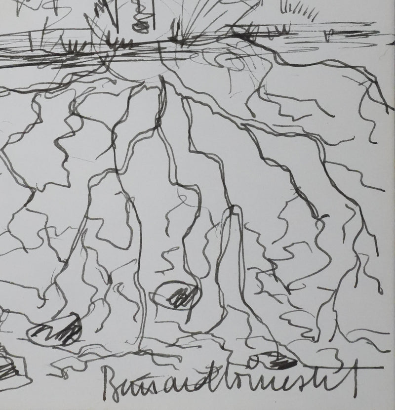 Bernard GINESTET : Les racines de l&