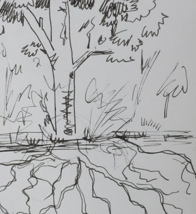 Bernard GINESTET : Les racines de l'eau, Autographe et dessin original signé