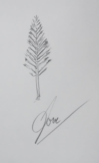 Joseph FORET : L'arbre planté, Autographe et dessin original signé