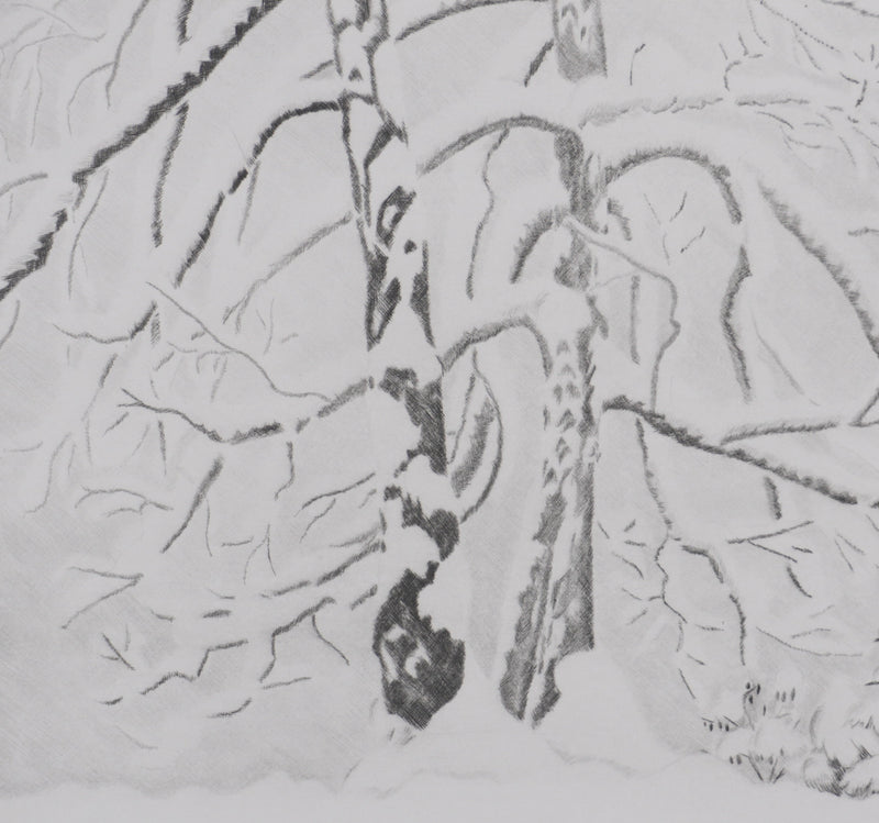Camille COMBE : Les deux arbres, Gravure originale signée