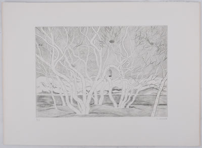 Camille COMBE : A travers les branches, Gravure originale signée