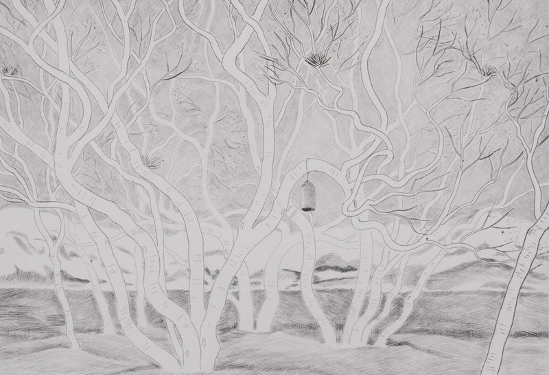 Camille COMBE : A travers les branches, Gravure originale signée
