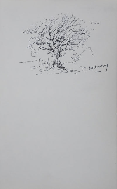 Georges BORDENOVE : Arbre au feuillage sombre, Autographe et dessin original signé