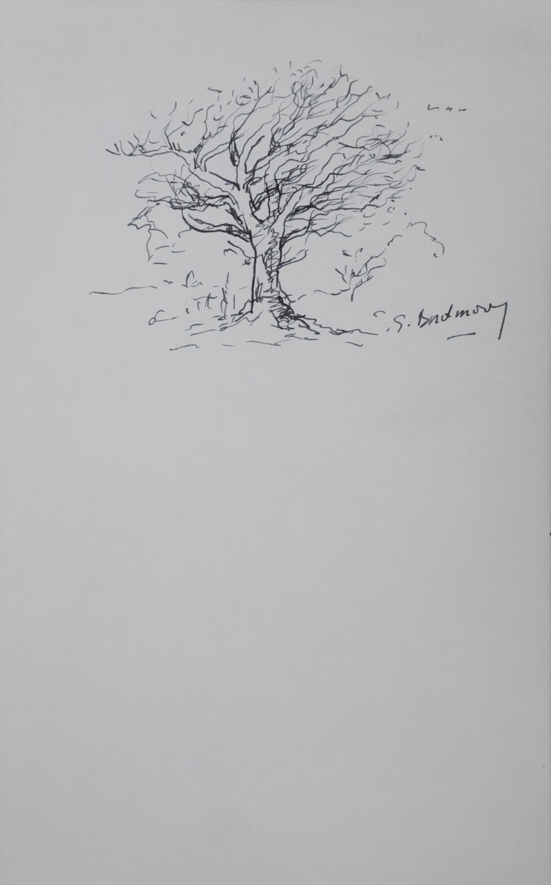 Georges BORDENOVE : Arbre au feuillage sombre, Autographe et dessin original signé