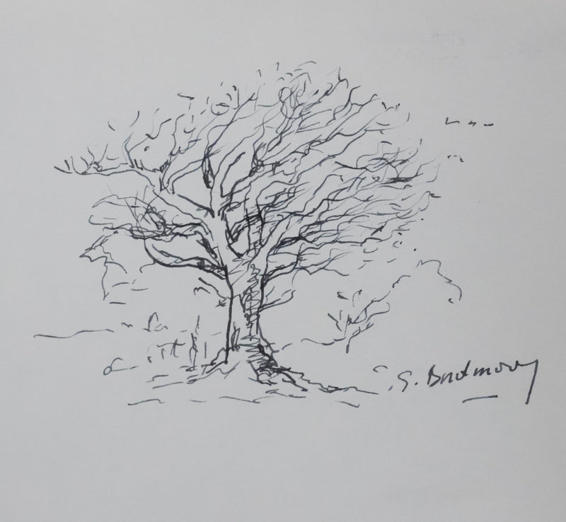 Georges BORDENOVE : Arbre au feuillage sombre, Autographe et dessin original signé