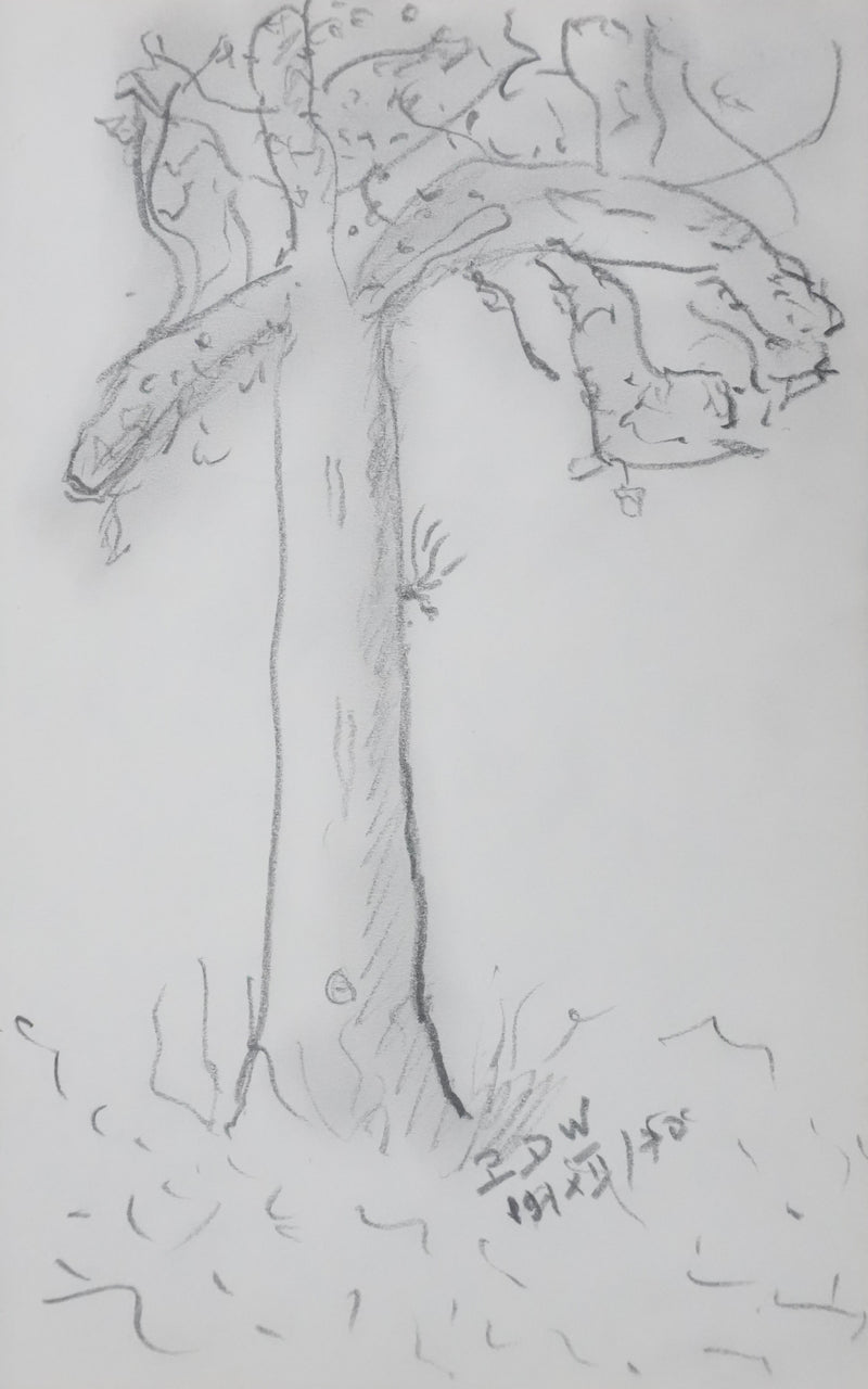 Paul WURZBURGER : Arbre aux branches grises, Autographe et dessin original signé