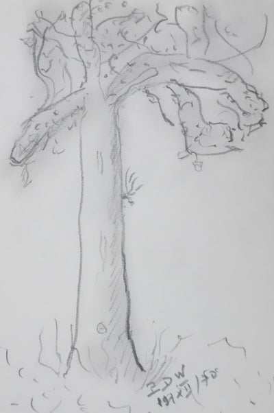 Paul WURZBURGER : Arbre aux branches grises, Autographe et dessin original signé
