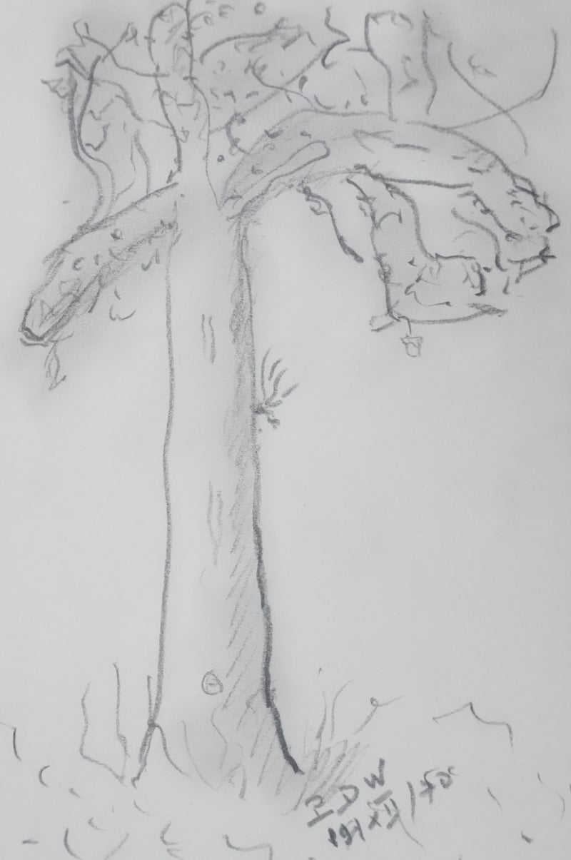 Paul WURZBURGER : Arbre aux branches grises, Autographe et dessin original signé