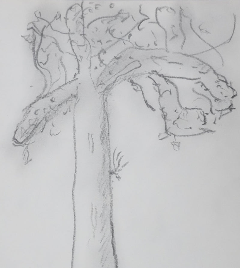 Paul WURZBURGER : Arbre aux branches grises, Autographe et dessin original signé