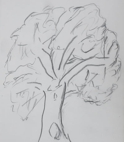 Odette WURZBURGER : Arbre au feuillage gris, Autographe et dessin original signé