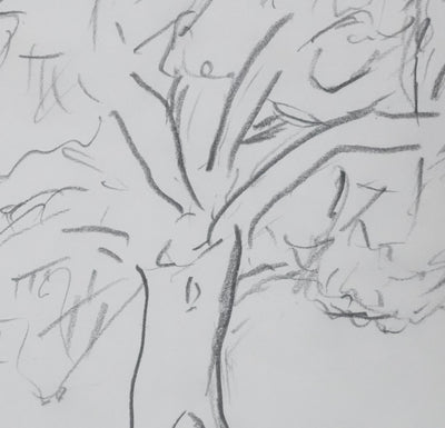 Odette WURZBURGER : Arbre au feuillage gris, Autographe et dessin original signé