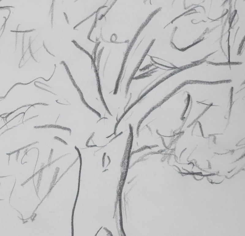 Odette WURZBURGER : Arbre au feuillage gris, Autographe et dessin original signé