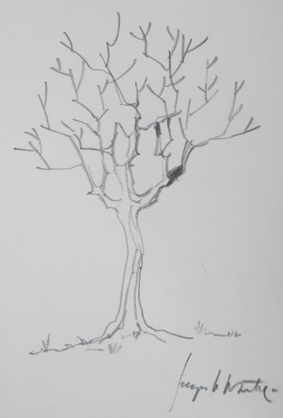 Jacques LE DANTEC : Les branches vers le ciel, Autographe et dessin original signé