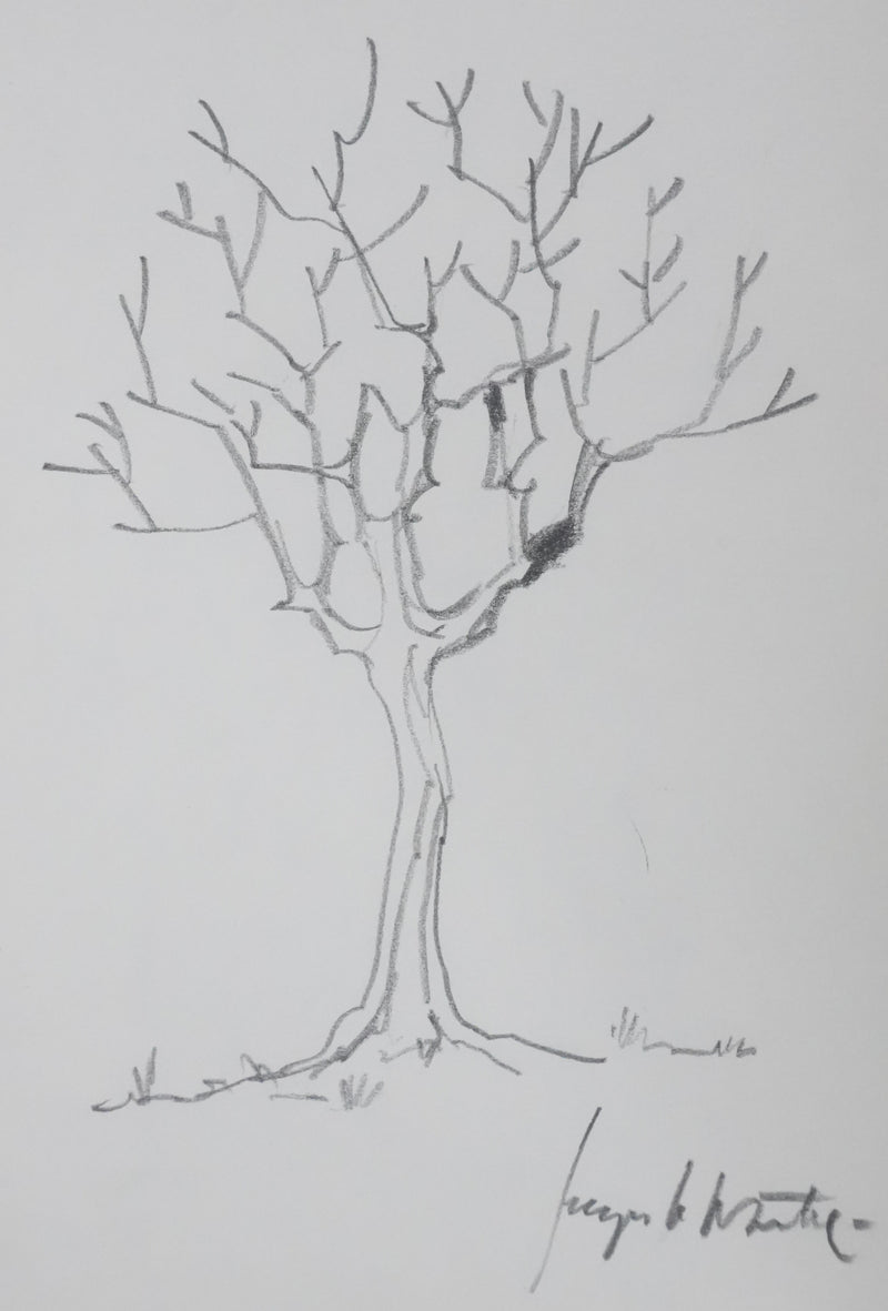 Jacques LE DANTEC : Les branches vers le ciel, Autographe et dessin original signé