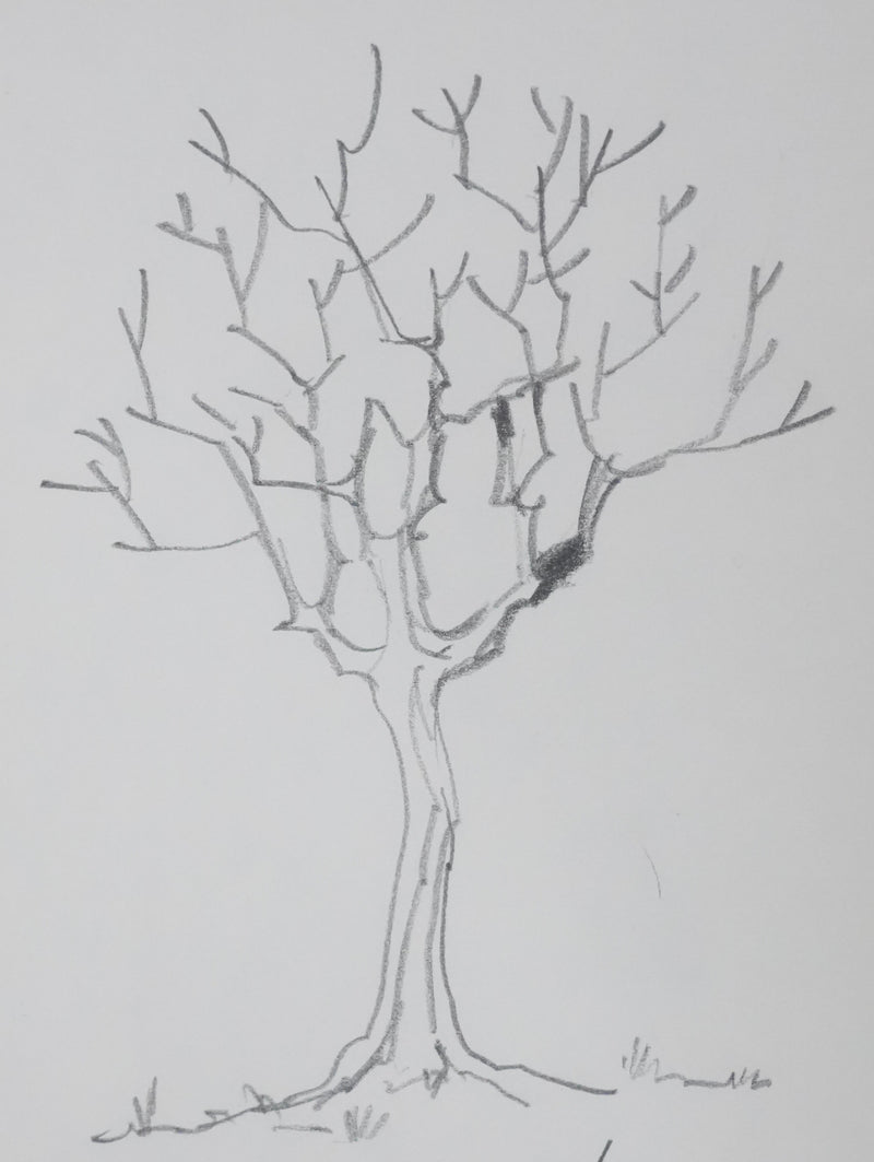 Jacques LE DANTEC : Les branches vers le ciel, Autographe et dessin original signé