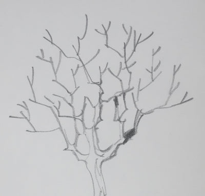 Jacques LE DANTEC : Les branches vers le ciel, Autographe et dessin original signé