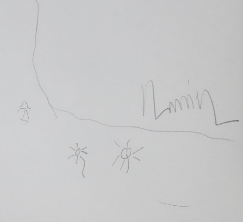 Lucien LANIER : Les pâquerettes sous l&