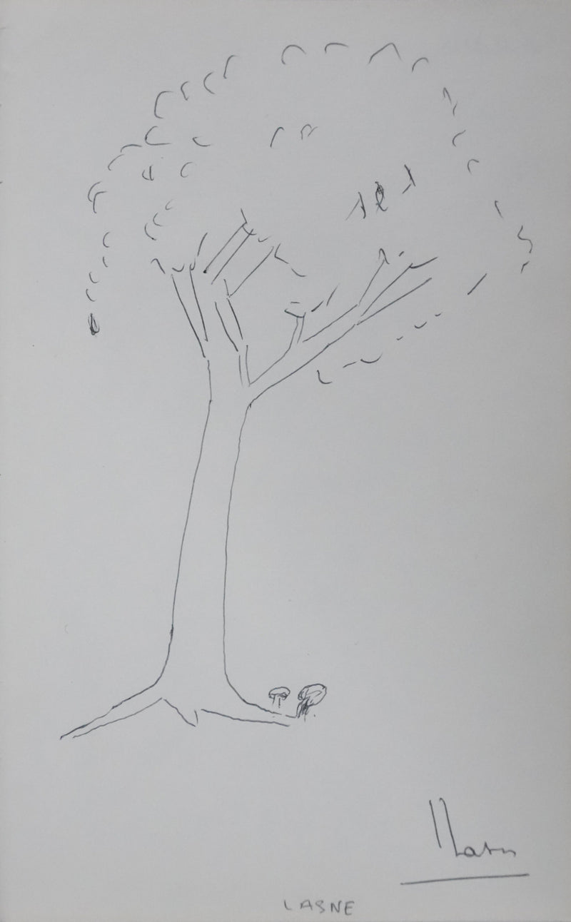 LASNE : Les champignons au pied de l&