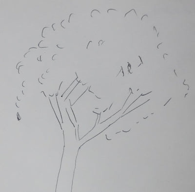 LASNE : Les champignons au pied de l'arbre, Autographe et dessin original signé