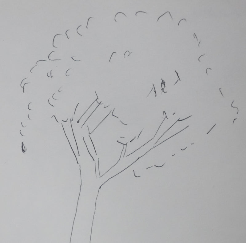 LASNE : Les champignons au pied de l&