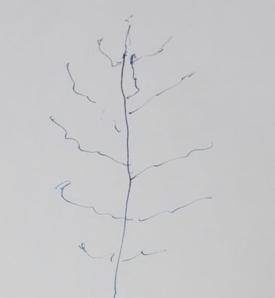 Alain POHER : La petite plantation, Autographe et dessin original signé