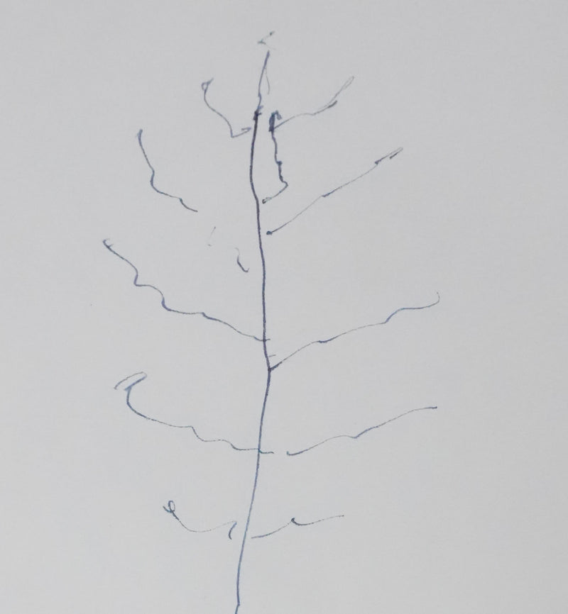 Alain POHER : La petite plantation, Autographe et dessin original signé