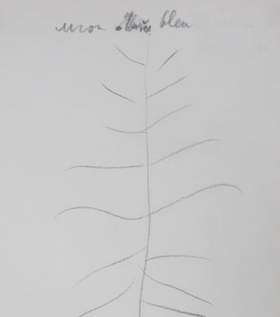 André BILLY : Mon abies bleu, Autographe et dessin original signé