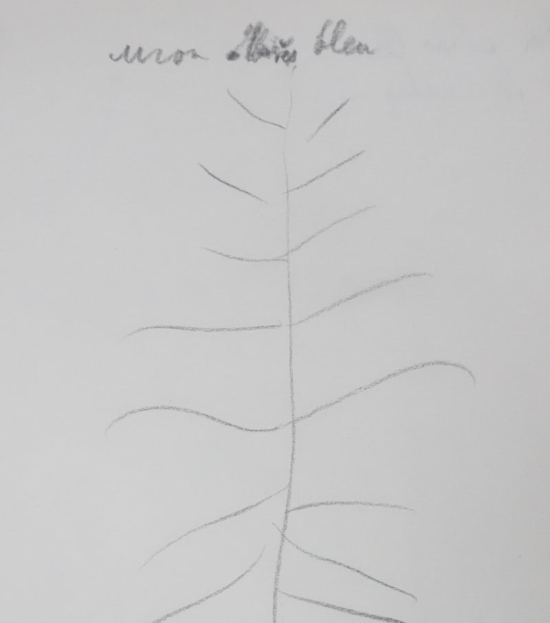 André BILLY : Mon abies bleu, Autographe et dessin original signé