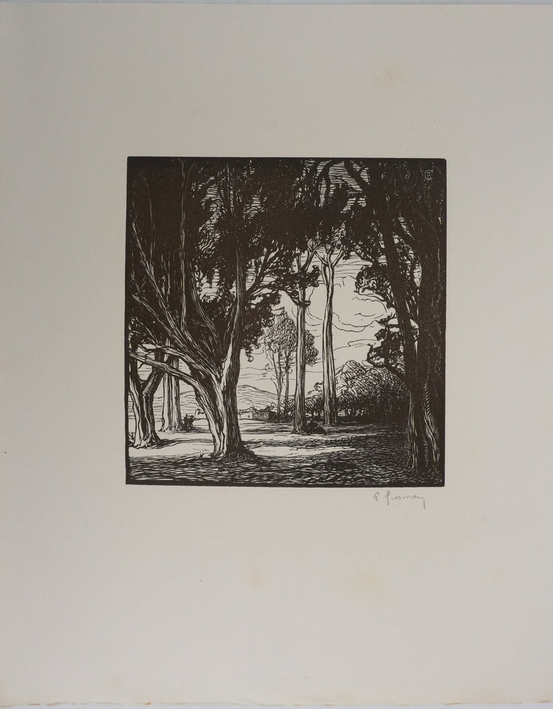 Pierre GUSMAN : Le petit bois, Gravure originale signée